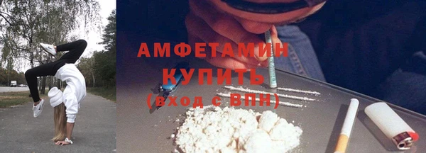 дживик Пересвет