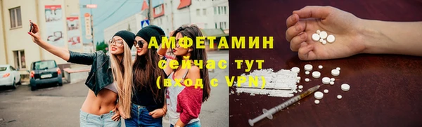 дживик Пересвет