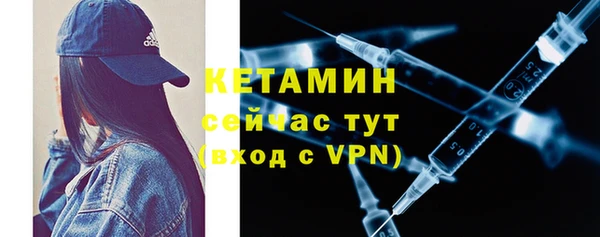 дживик Пересвет