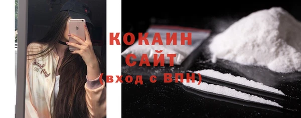 дживик Пересвет