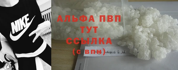 дживик Пересвет