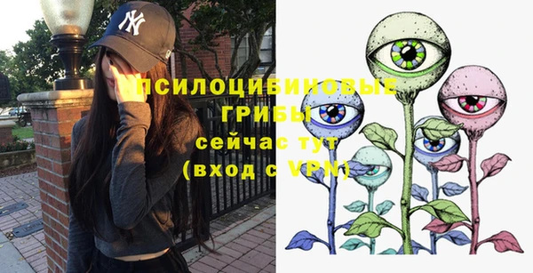 круглые Переславль-Залесский