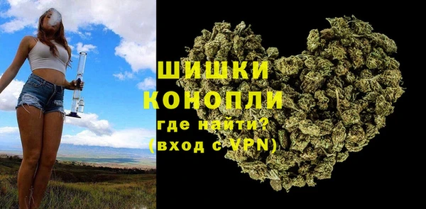 дживик Пересвет