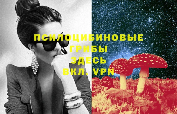 дживик Пересвет