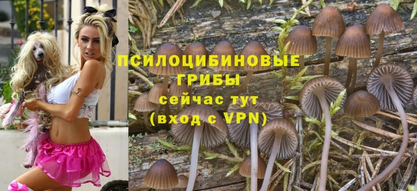 МДПВ Пестово