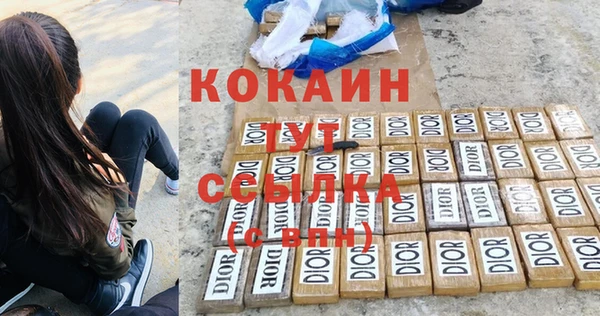 дживик Пересвет