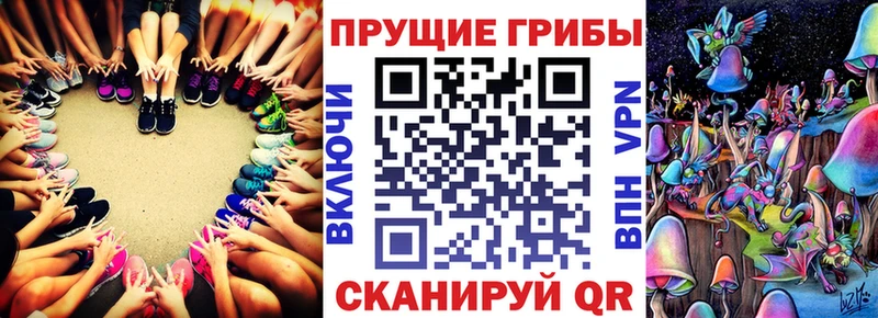 гидра tor  Струнино  Псилоцибиновые грибы Psilocybe 